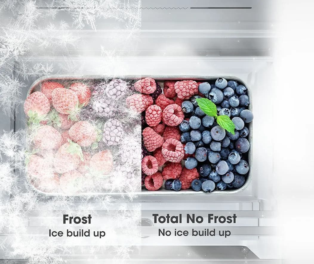 TOTAL NO FROST
