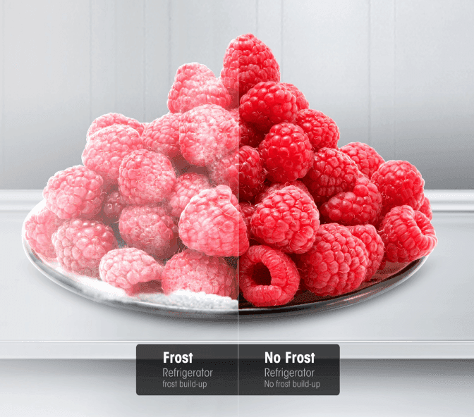 TOTAL NO FROST